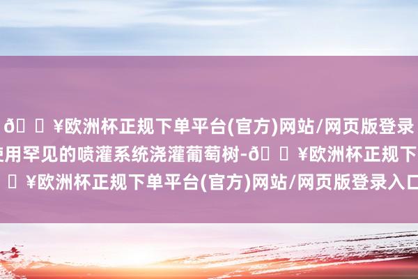 🔥欧洲杯正规下单平台(官方)网站/网页版登录入口/手机版庄园开动使用罕见的喷灌系统浇灌葡萄树-🔥欧洲杯正规下单平台(官方)网站/网页版登录入口/手机版